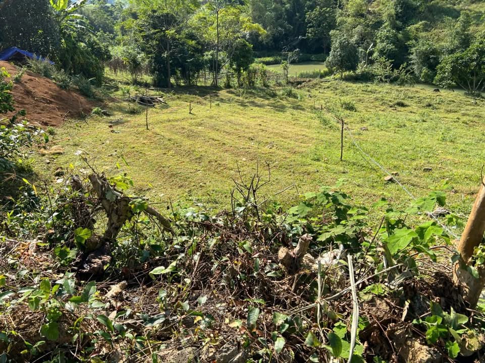 Đất thổ cư Bản Mừng, Hòa Bình 140m² giá 450 triệu - Sổ hồng chính chủ!