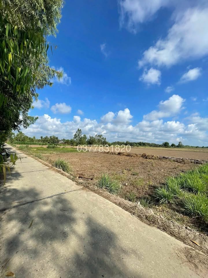 Bán đất mặt tiền DANL Điện Lực Châu Thành, Trà Vinh - Giá chỉ 200 triệu