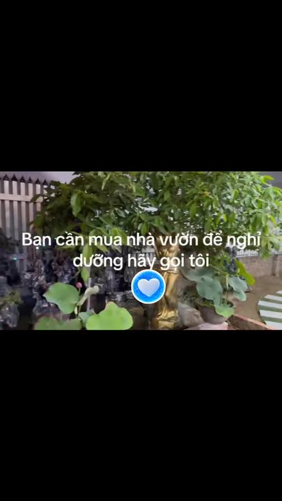 Nhà vườn An Tảo Thượng, Hưng Yên 253m² giá 4 tỷ - Không gian sống lý tưởng giữa lòng phố