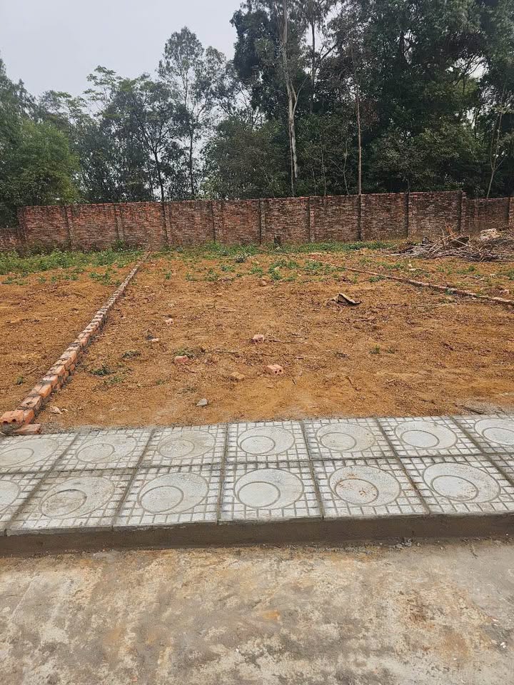 Đất nền khu 4 Hi Cương, TP Việt Trì, 116.9m² giá chỉ 1.1 tỷ - Cơ hội đầu tư sinh lời!