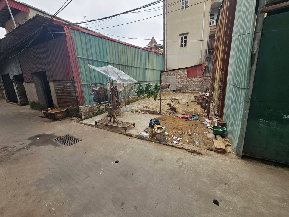 Đất nền Phù Khê Từ Sơn 65m² giá 2 tỷ - Vị trí đẹp, đầu tư sinh lời!