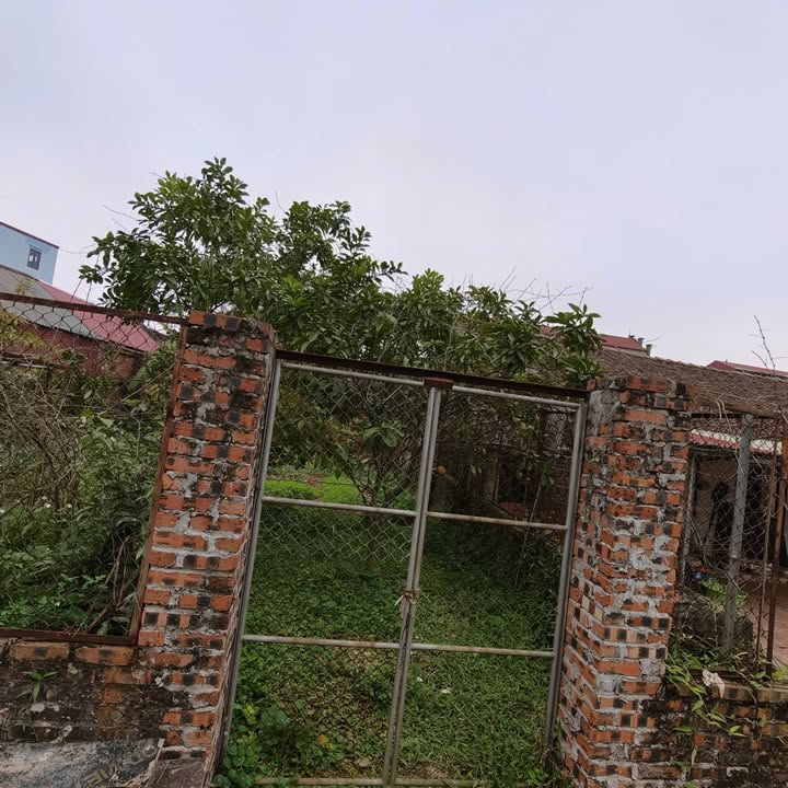 Đất Kim Thiều Từ Sơn 74m² giá 2 tỷ - Cơ hội đầu tư tuyệt vời!