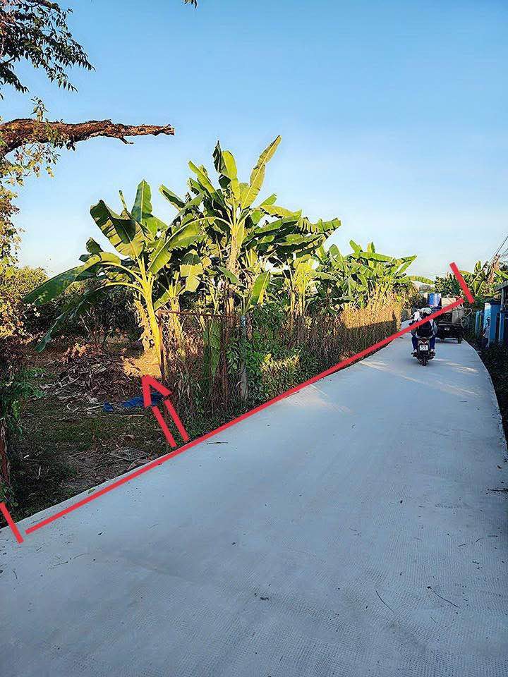 Đất mặt tiền đường bê tông xã Tân Bình 3000m² giá 17 tỷ - Đầu tư sinh lời lý tưởng!