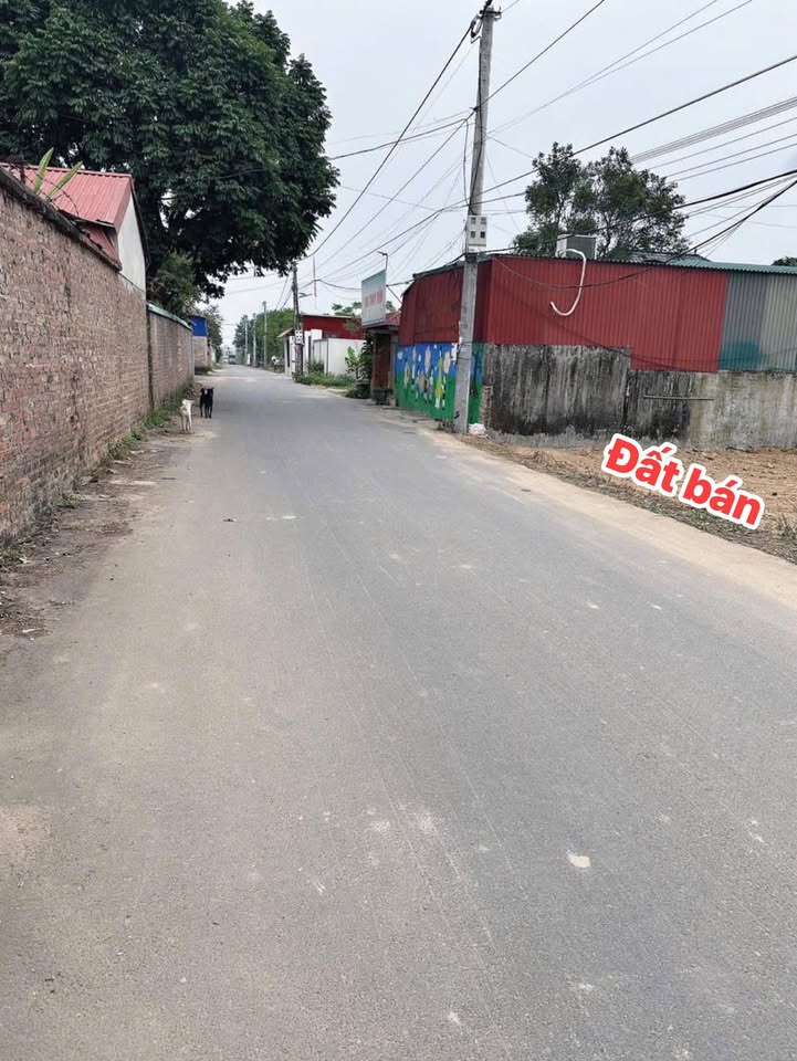 Đất nền Thanh Trí, Kim Anh 102m² giá 2 tỷ - Đầu tư sinh lời tốt!