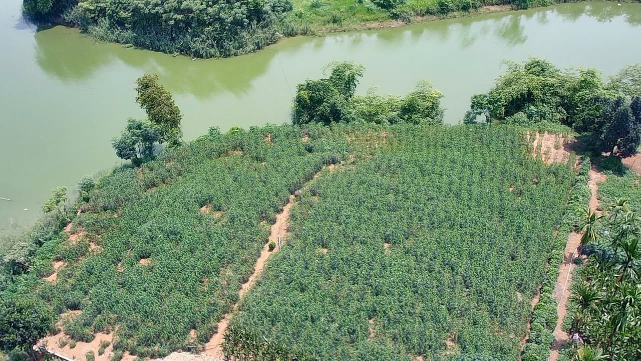 Đất nghỉ dưỡng Đầm Sản Ba Vì 1119.8m² giá 3.0 tỷ - View hồ thoáng mát