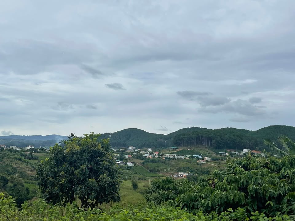 Đất nền 2000m² Nam Ban Lâm Hà giá 4 tỷ - View thung lũng tuyệt đẹp!