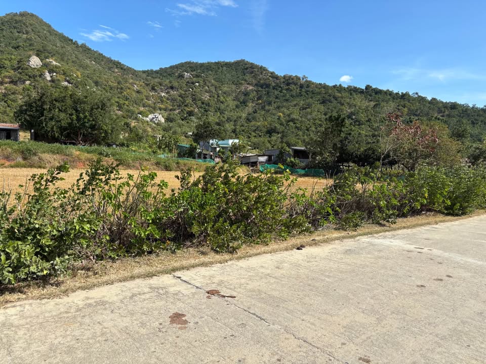 Đất nền 5 sào Đức Trọng 18.000m² giá 500 triệu - Cơ hội đầu tư tuyệt vời!