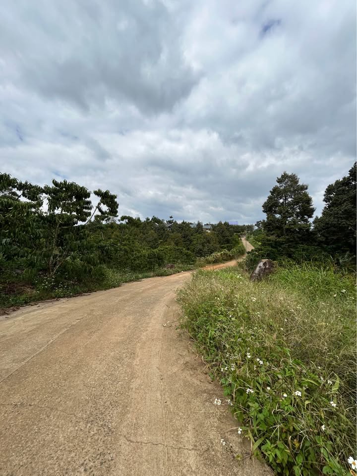 Đất nền 600m² hẻm Chi Lăng, Lộc Thành giá 1.35 tỷ - Cơ hội đầu tư lý tưởng!