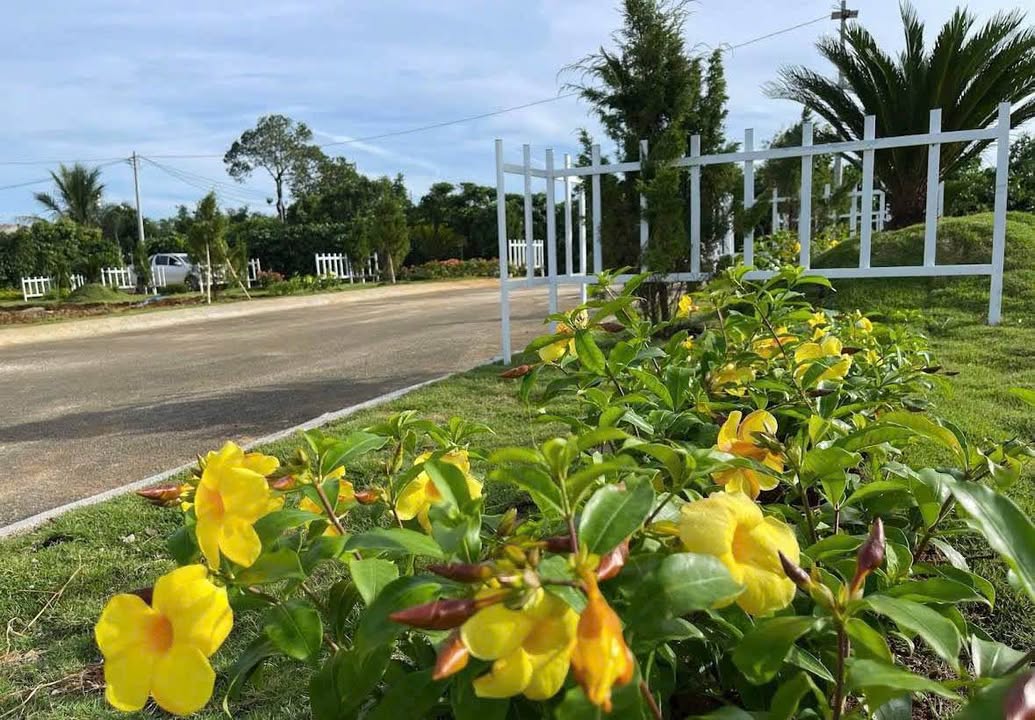 Đất nền thổ cư Lộc An 270m² giá 380 triệu - Cơ hội đầu tư hấp dẫn!