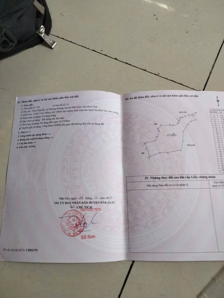 Farm đất vườn Ngọc Linh, Đắk Glei, 1.2ha giá chỉ 300 triệu - Cơ hội đầu tư tuyệt vời!