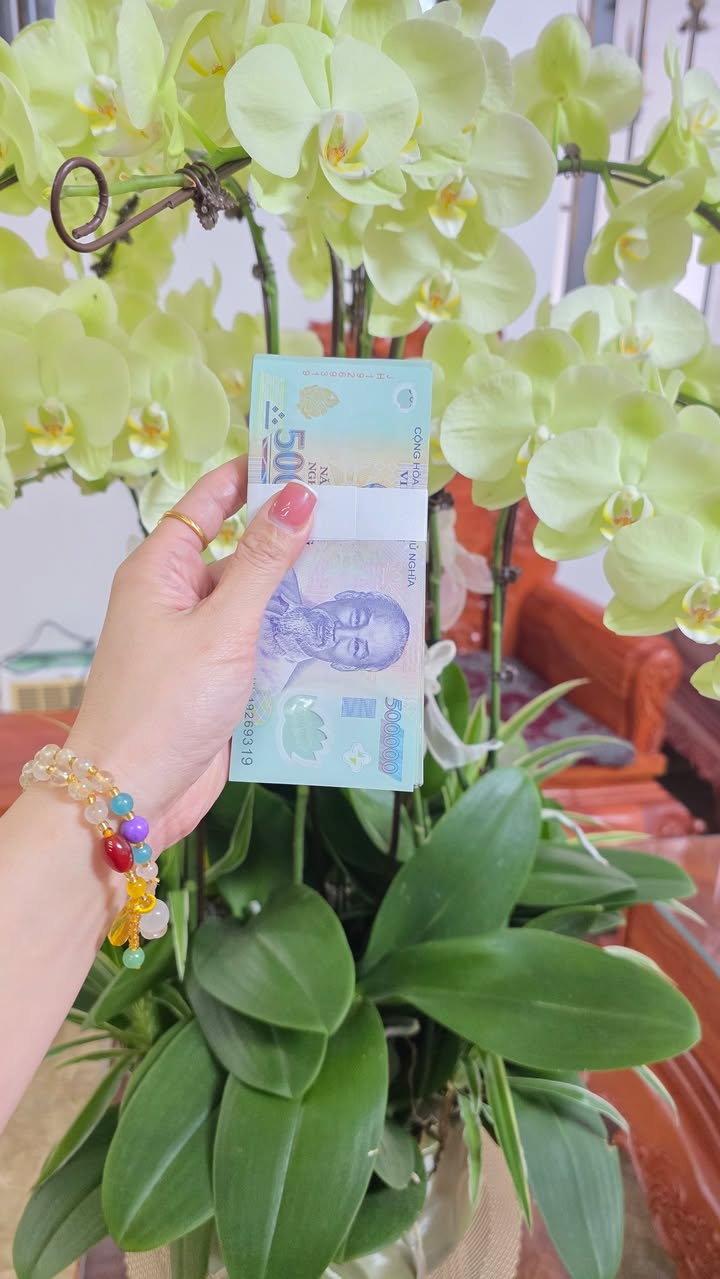 Đất nền TĐC Đại An, 92m² giá 2.35 tỷ - Lô góc, vị trí đẹp, tiện ích đầy đủ!