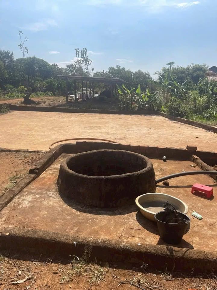 Đất nông nghiệp 1ha tại Cư Mung, Đắk Lắk - Kinh doanh cà phê lợi nhuận cao!