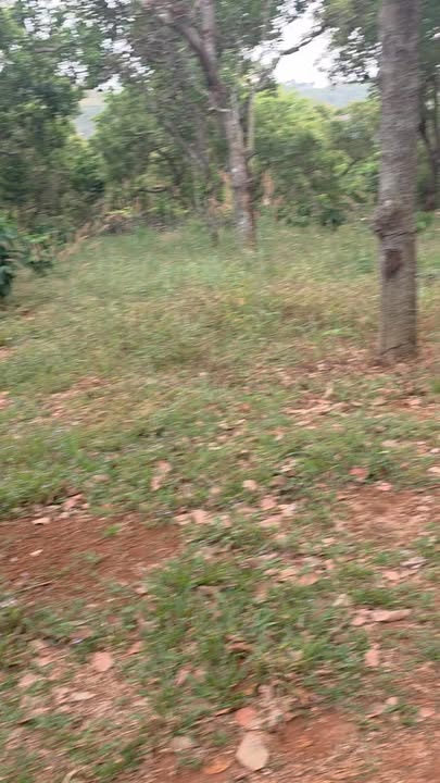 Đất nền 8000m² tại xã Đoàn Kết, huyện Bù Đăng giá 1.23 tỷ - Cơ hội đầu tư hấp dẫn!