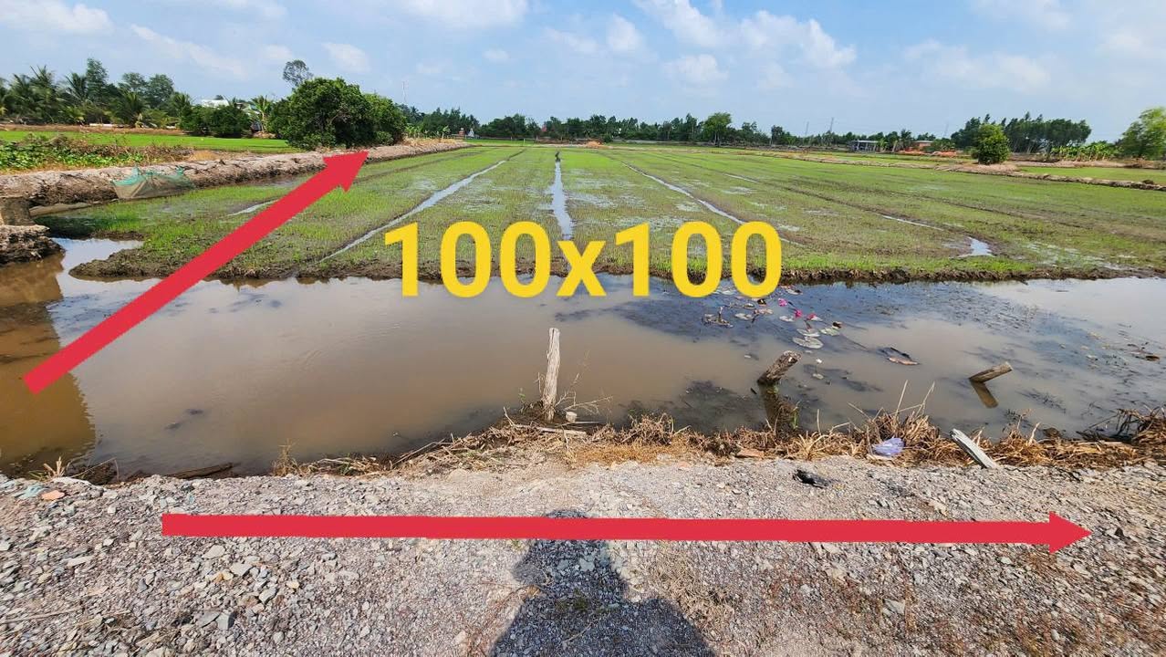 Đất nền 10.000m² Hòa Khánh Nam, Đức Hòa chỉ 1 triệu/m² - Đầu tư sinh lời!