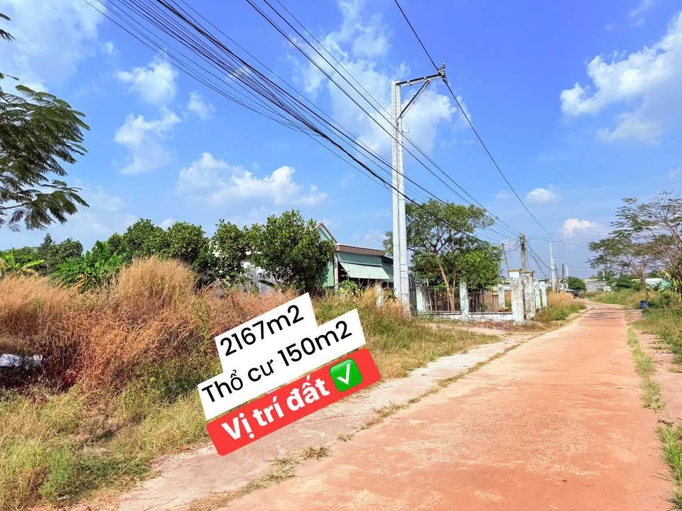 Đất xây xưởng tại Thủ Đức 2147m² giá chỉ 2.2 tỷ - Cơ hội đầu tư tuyệt vời!