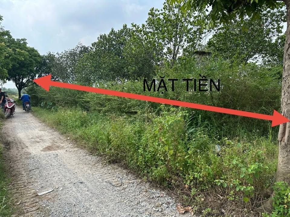 Đất nông nghiệp Nam Hồng 599m² giá chỉ 1 tỷ - Đầu tư sinh lời ổn định!