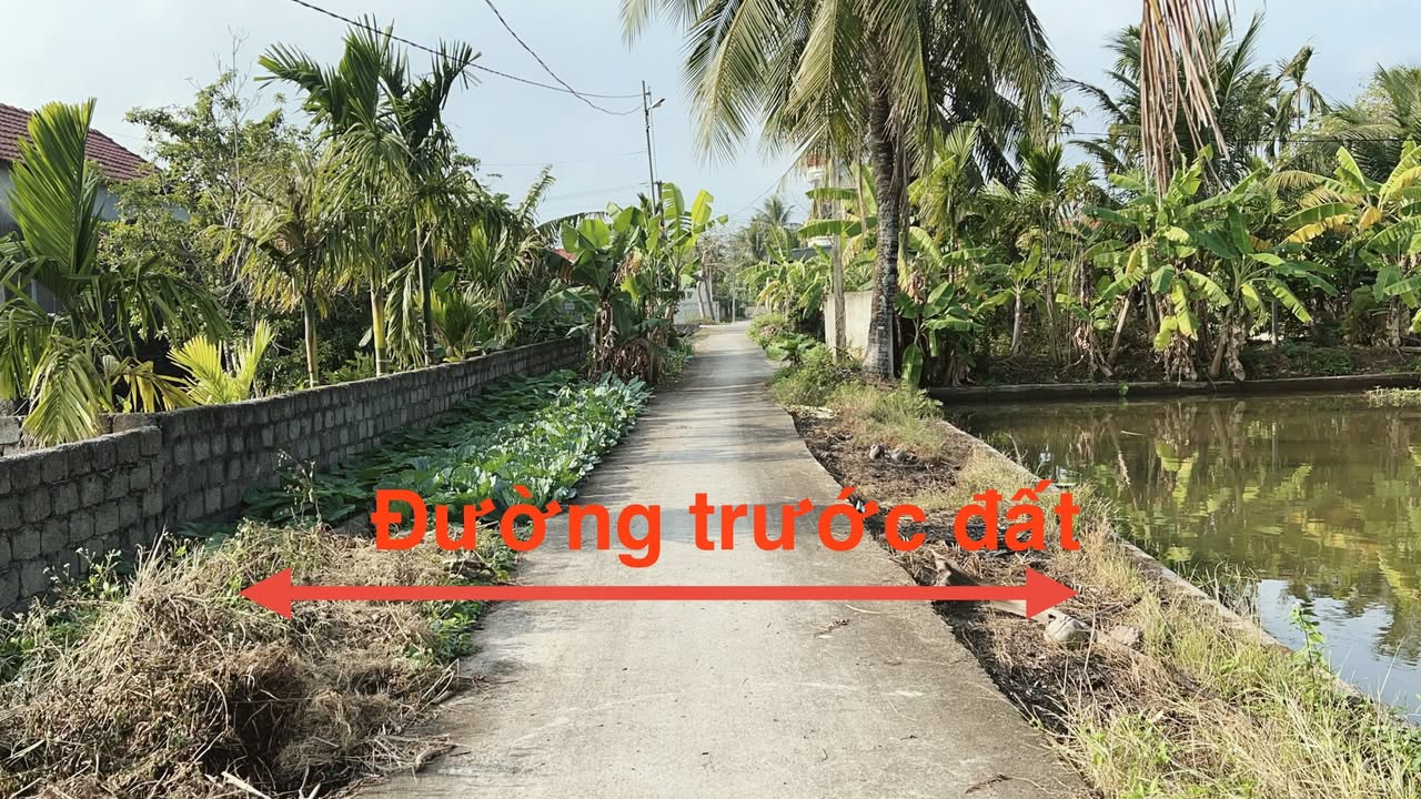 Đất thổ cư Xã Nga Tiến 120m² giá 399 triệu - Cơ hội đầu tư hấp dẫn!