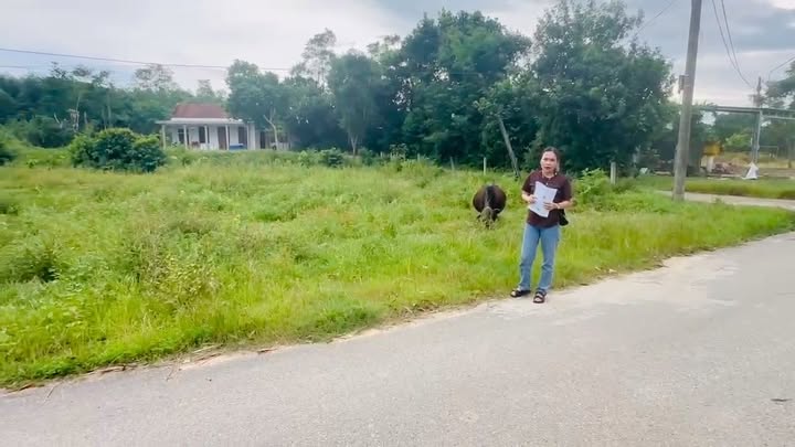 Đất nền Khánh Mỹ, Phong Điền, 153m² giá 400 triệu - Cơ hội đầu tư hấp dẫn!