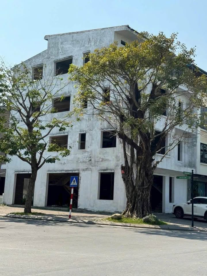 Shophouse góc Đại lộ Lê Duẩn - 176m² giá chỉ 1x tỷ - Kinh doanh đắc địa tại Ecopark HD!