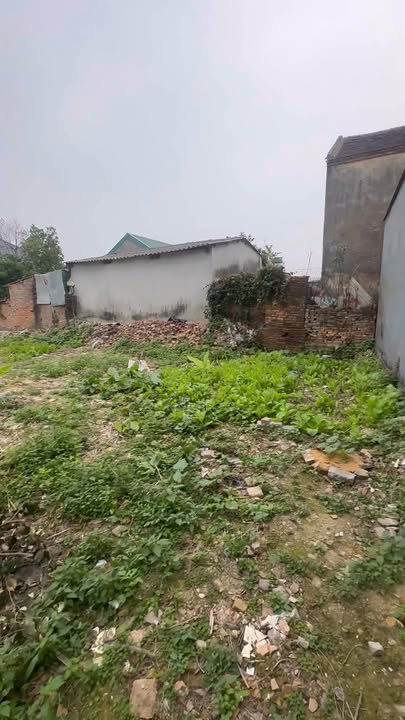 Đất nền đầu tư tại Lý Đỏ, Tân Việt - Diện tích 130m² và 158m² - Cơ hội sinh lời bền vững!