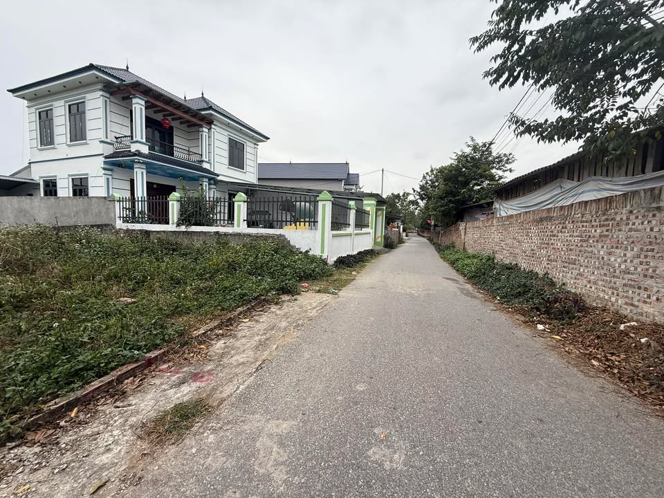 Đất nền 260m² xã Tam Quan, huyện Tam Đảo chỉ từ 800 triệu - Cơ hội đầu tư tốt!