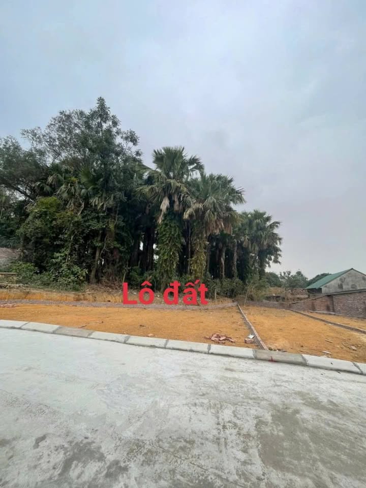 Đất thổ cư 80m² tại Xã Thái Hòa, Vĩnh Phúc giá 280 triệu - Cơ hội cho cặp đôi trẻ!