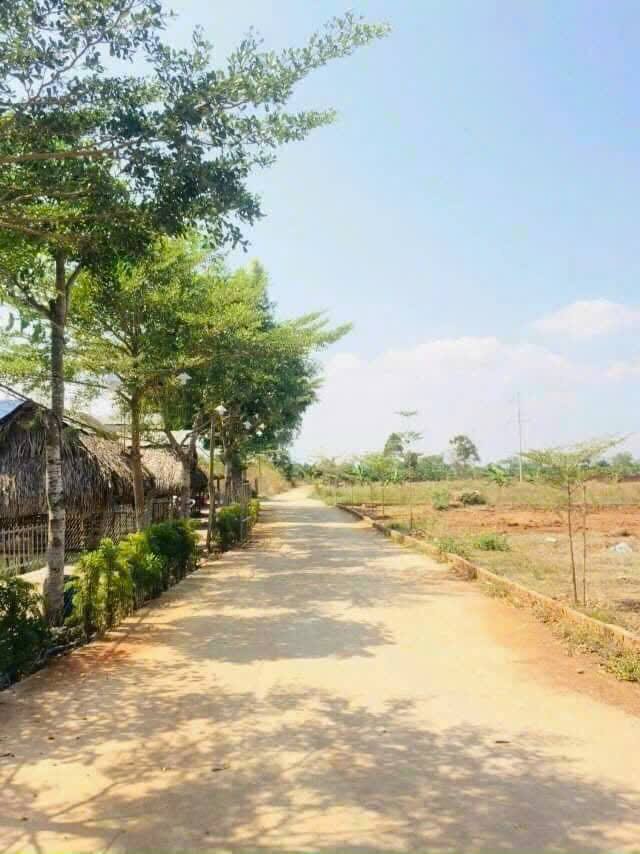 Đất nền Trảng Bom 1125m² giá 1.3 tỷ - Sổ hồng chính chủ!