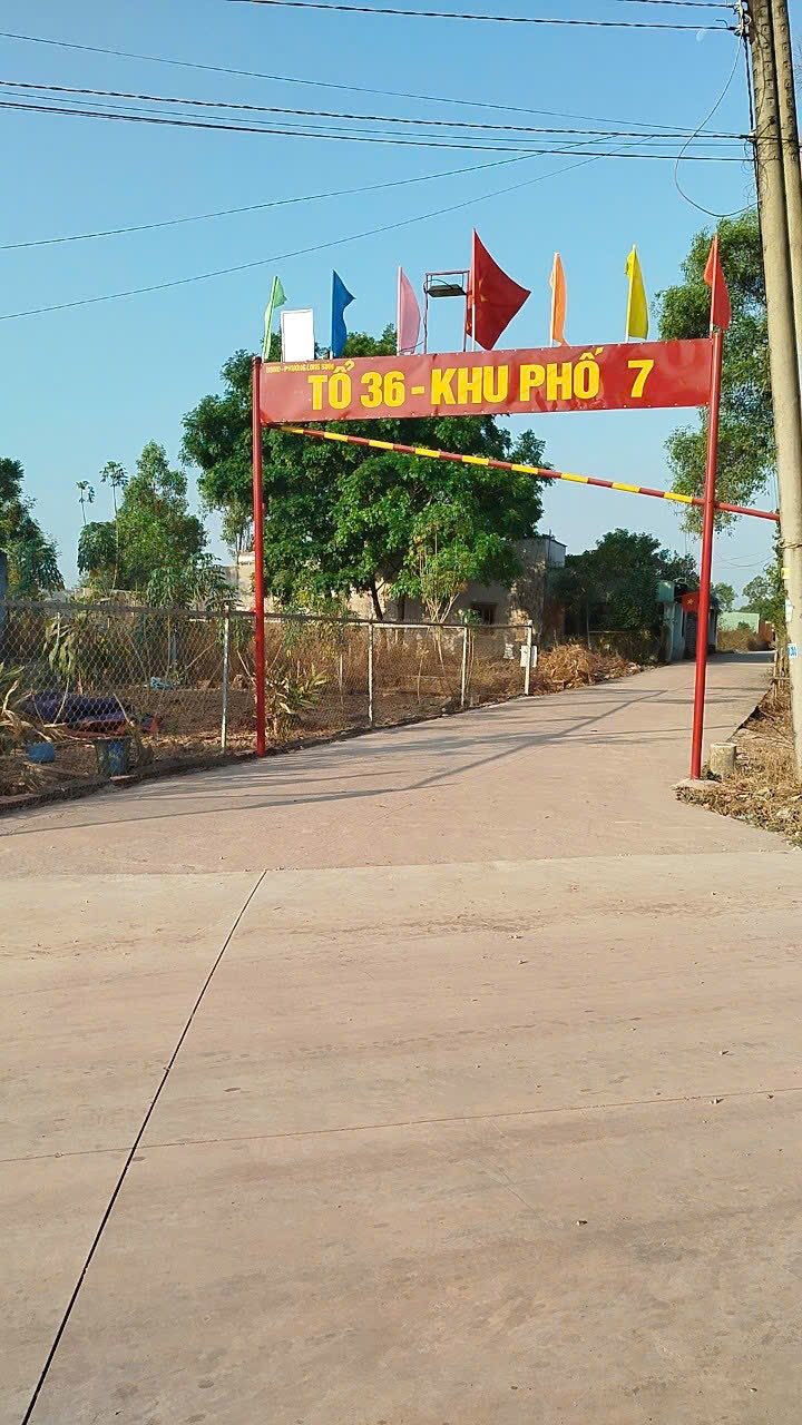 Đất nền Tổ 36, Phường Long Bình, Biên Hòa 162m² giá 270 triệu - Cơ hội đầu tư hấp dẫn!