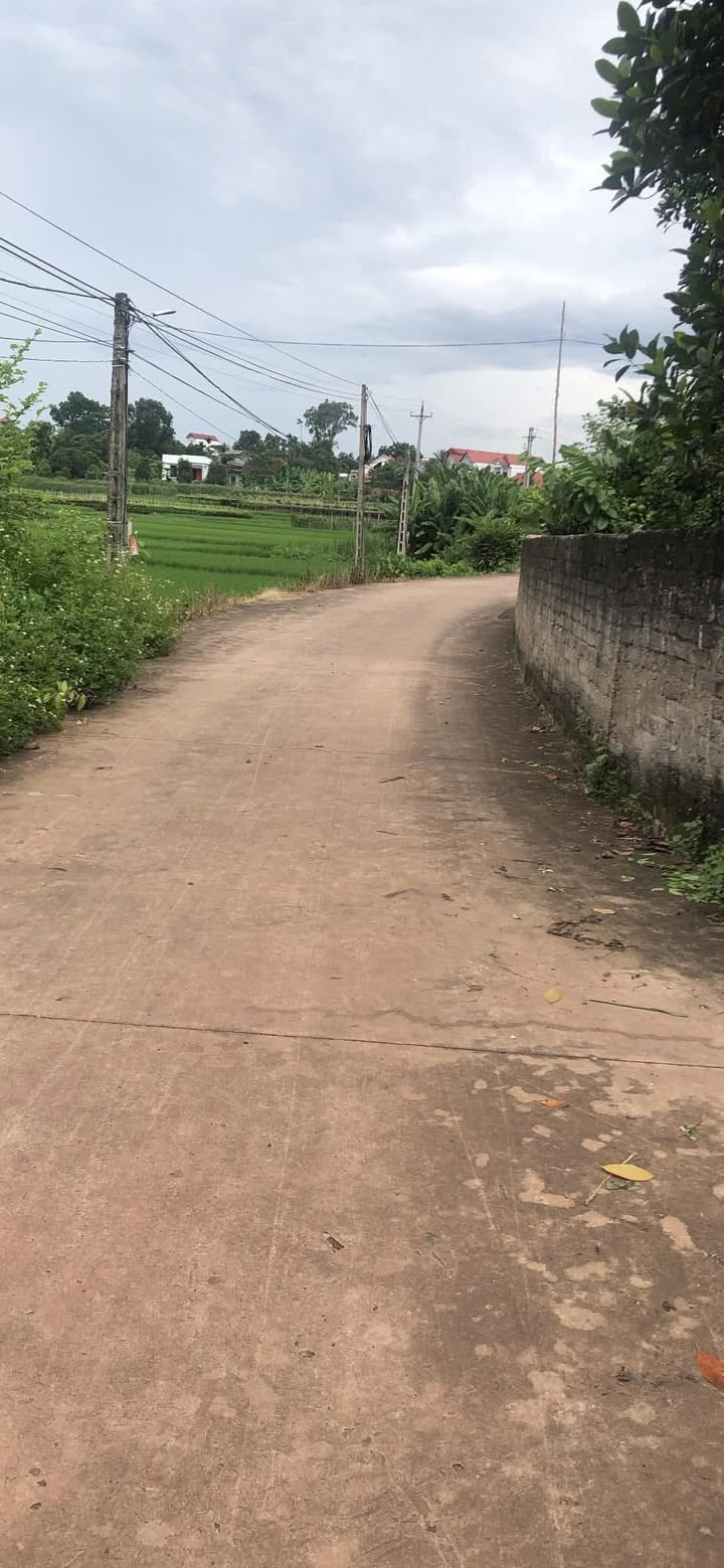 Lô đất thổ cư 241m² tại thôn Tân Hoa - Khu công nghiệp Nghĩa Hưng, giá chỉ 5×× triệu