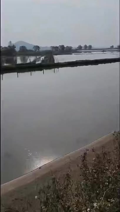 Đất thổ cư 250m² tại Đê Sơn Thành, Ninh Bình chỉ 1 tỷ - Cơ hội đầu tư tuyệt vời!