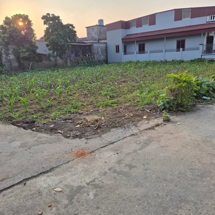 Đất nền Yên Cư 2, Khánh Cư, 100m² - Giá đầu tư hấp dẫn!