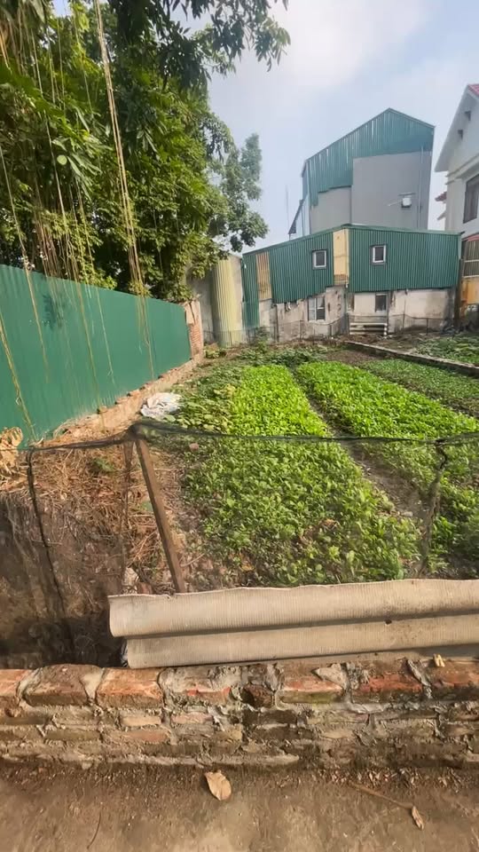 Lô đất 86m² tại Chuyên Mỹ, Phú Xuyên giá 2 tỷ - Đường ô tô vào tận nơi!