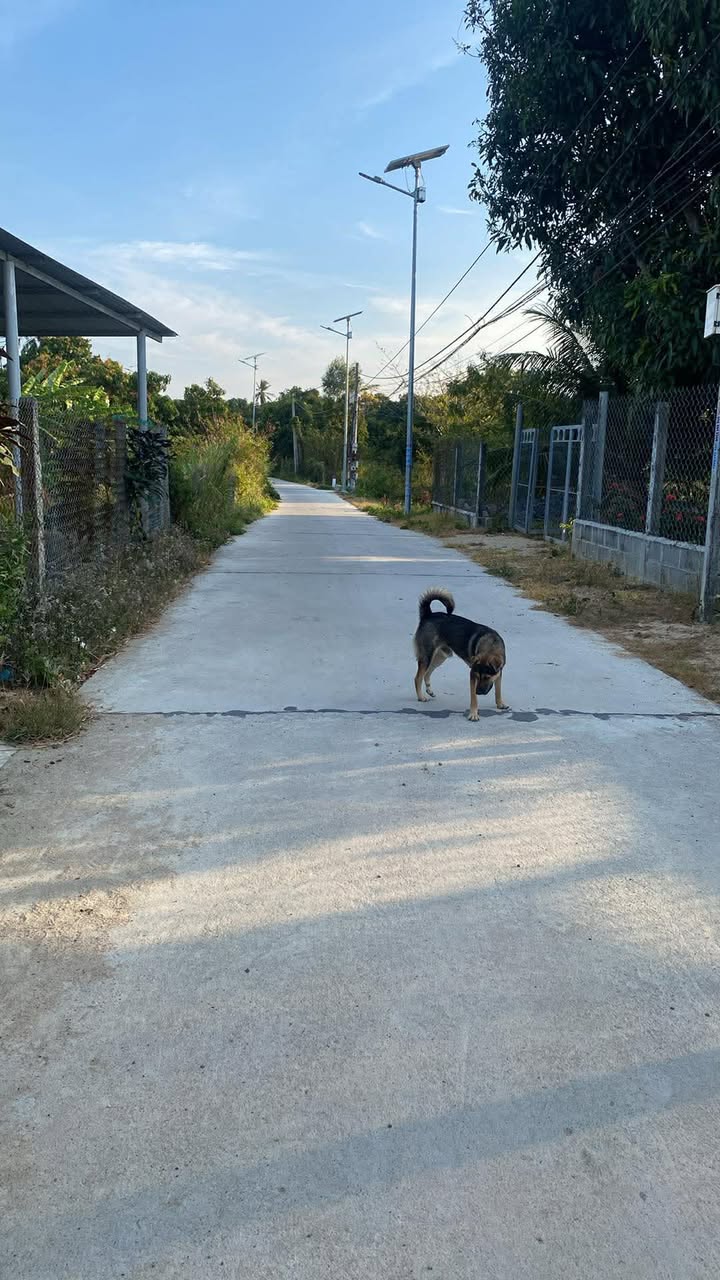 Đất thổ cư Cam Nghĩa 300m² giá 1.25 tỷ - Đường bê tông 4m, vị trí đẹp!