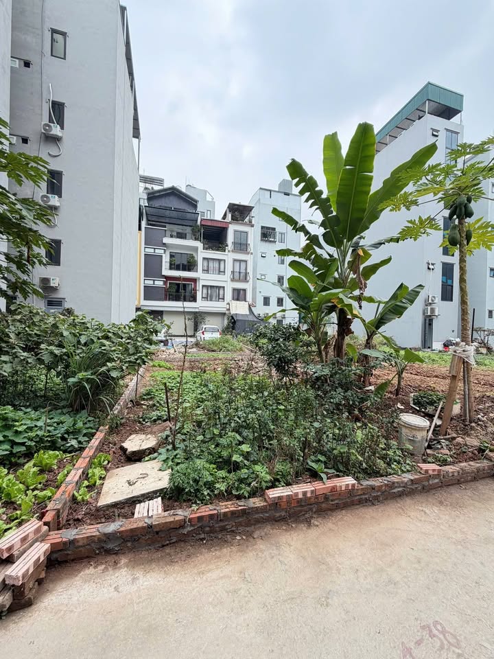 Đất phân lô TĐC Ngọc Thụy 50m² giá thỏa thuận - Vị trí đắc địa gần hồ điều hòa!