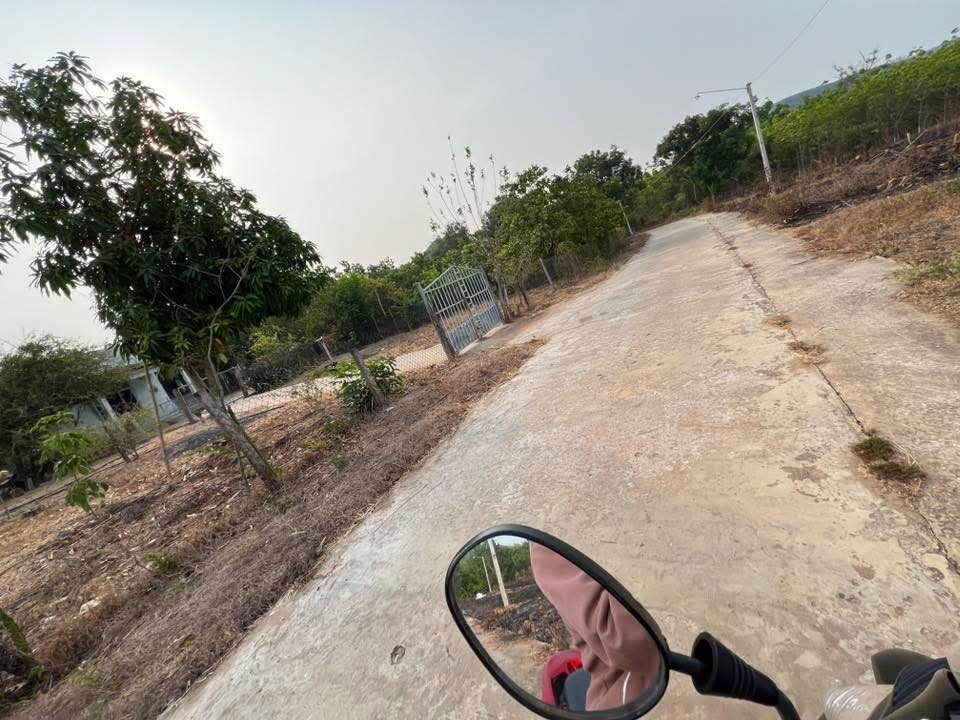 Đất thổ cư 1000m² mặt tiền bê tông tại Lộc Thiện - Giá chỉ 380 triệu