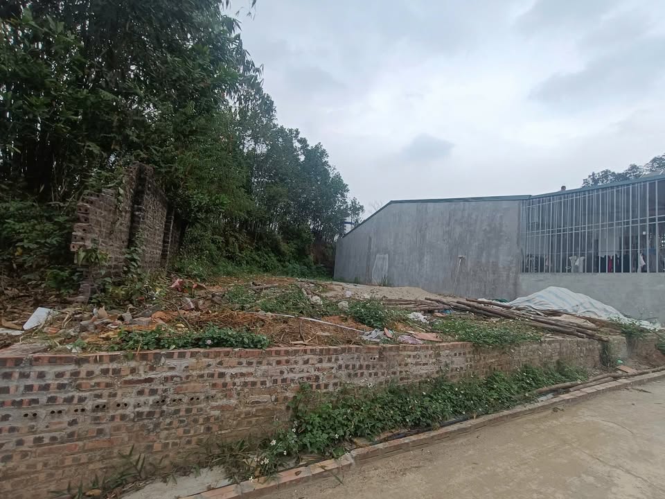 Đất nền kinh doanh Tân Lập, Cẩm Khê, 186m² giá 1 tỷ - Sổ hồng chính chủ!