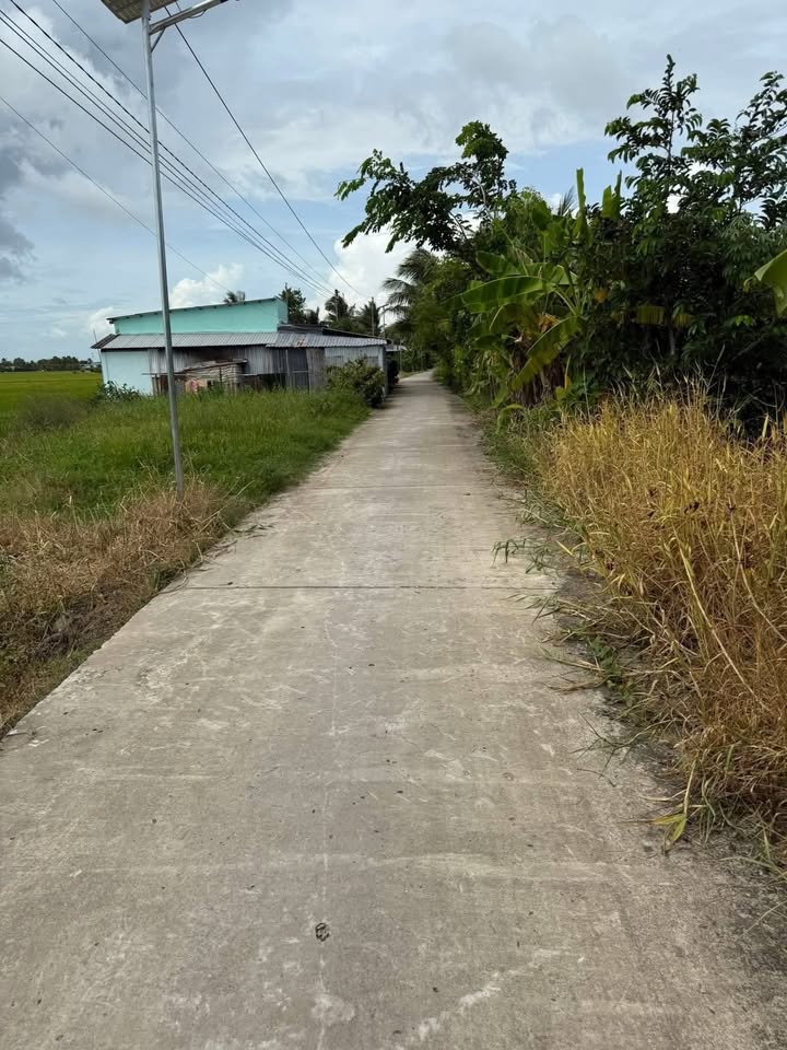 Đất 12.043m² tại Ấp Hòa Linh, Xã Long Thạnh, Huyện Vĩnh Lợi - Giá Thỏa Thuận