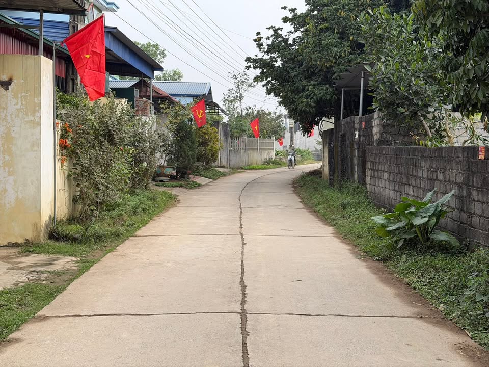 Đất nền Thôn Sấu Hạ, Thanh Oai 115m² giá 1.15 tỷ - Vị trí đầu tư tiềm năng!