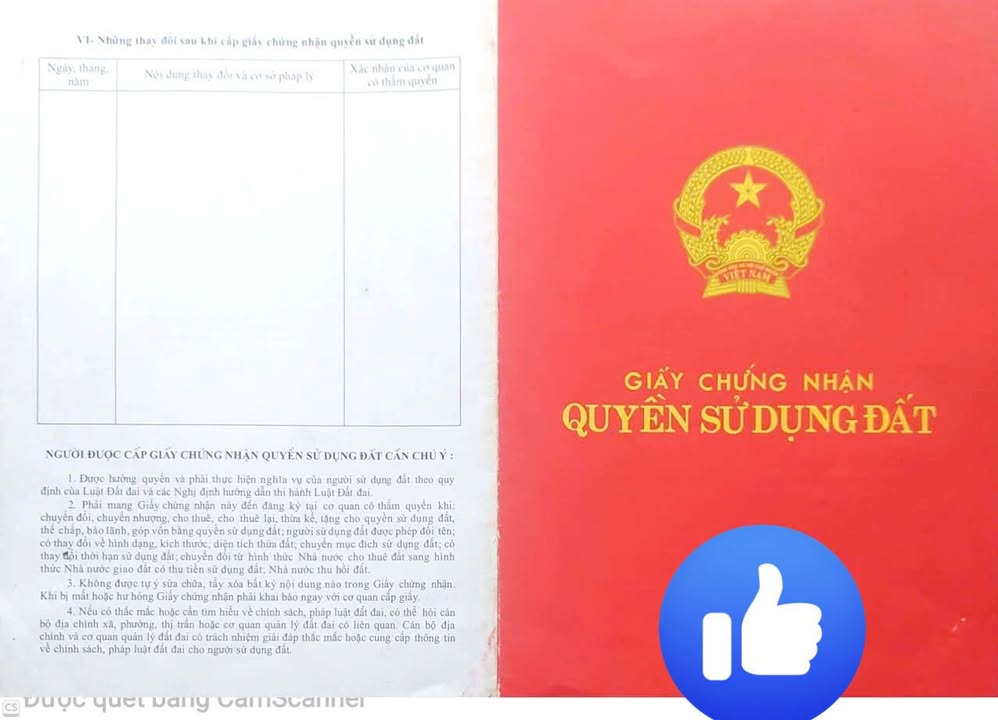 Đất thổ cư Tam Dương 120m² giá thỏa thuận - Sổ đỏ riêng, đầu tư sinh lời!