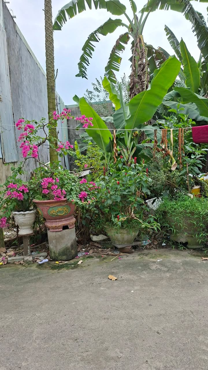 Đất nền Phước Thiền Nhơn Trạch 100m² giá 1.8 tỷ - An ninh tốt, tiện ích đầy đủ!