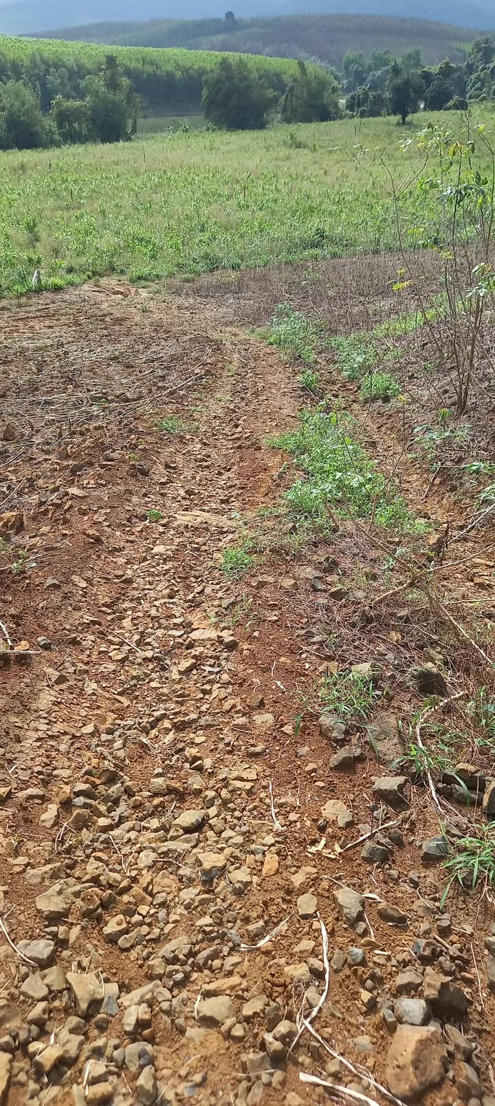 Đất nền Sông Hinh 1.9ha giá 200 triệu - Cơ hội đầu tư sinh lời!