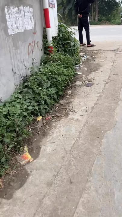 Đất nền lô góc 160m² tại Tân Xã - Kinh doanh siêu lợi nhuận!