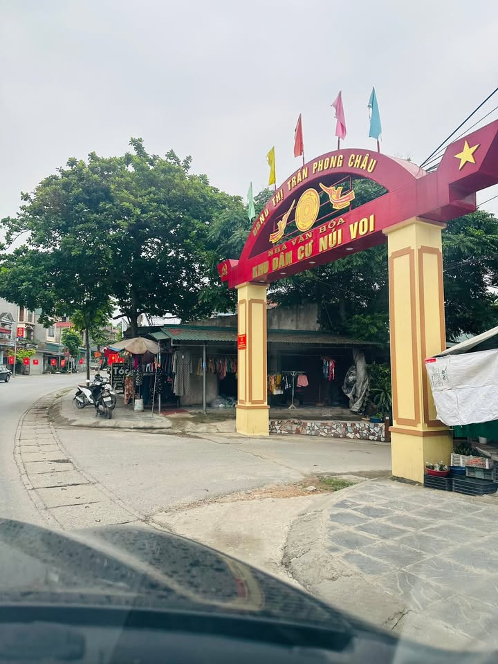 Đất nền khu Núi Voi, Phú Thọ 102,2m² giá 1 tỷ - Đầu tư sinh lời ngay!