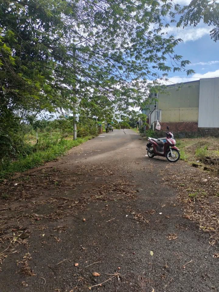 Đất nền Bảo Lộc 144m² giá 700 triệu - Cơ hội đầu tư sinh lời!