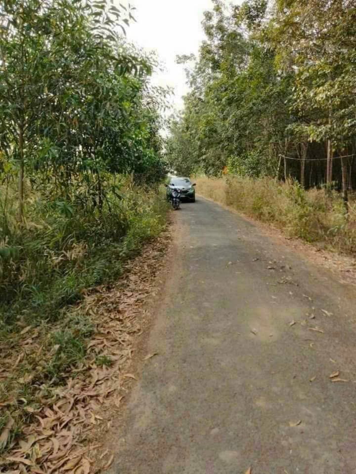 Đất nền Xã Tân Thành, Huyện Bù Đốp, 120m² giá 1.8 tỷ - Cơ hội đầu tư hấp dẫn!