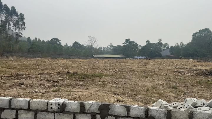 Đất nền xã Tam Đảo 5000m² giá thỏa thuận - Vị trí đẹp, thiên nhiên tuyệt vời!