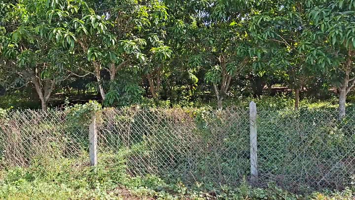 Đất thổ cư Khánh Nam 400m² giá chỉ 405 triệu - Cơ hội đầu tư tốt!