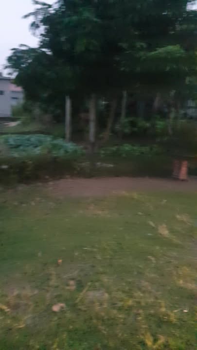 Đất nền xã Khánh Mậu, Yên Khánh, 125m² - Đầu tư sinh lời ngay!