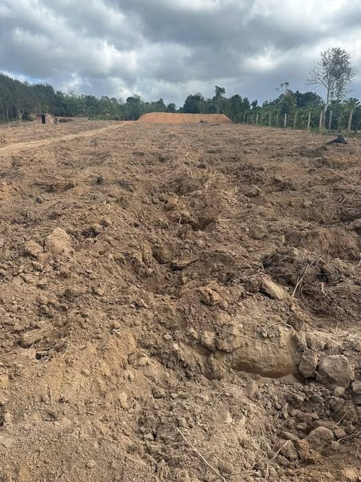 Đất nền Farm tại xã Ea Hiao, huyện Ea H'leo, 3240m² giá 1.2 tỷ - Đầu tư sinh lời ngay!