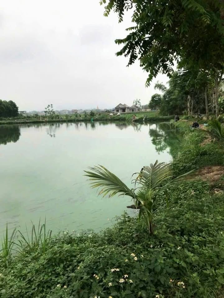 Đất thổ cư xã Bản Ngoại 2167m² giá 1 tỷ - Cơ hội đầu tư hấp dẫn!